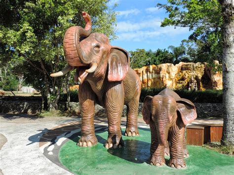 imagens de zoológico beto carrero world - mapa do Beto Carrero